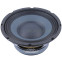 Eminence Delta 10A